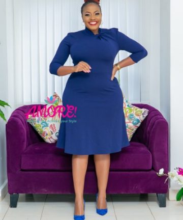 Navy long sleeve A line dress