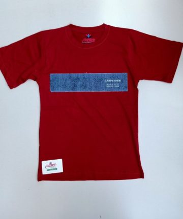 Maroon tee with blue striped print