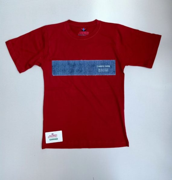 Maroon tee with blue striped print