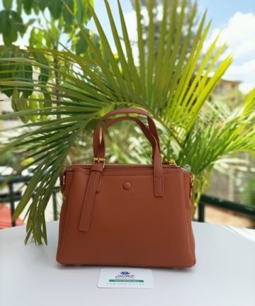 Burnt Orange petit crossbody bag